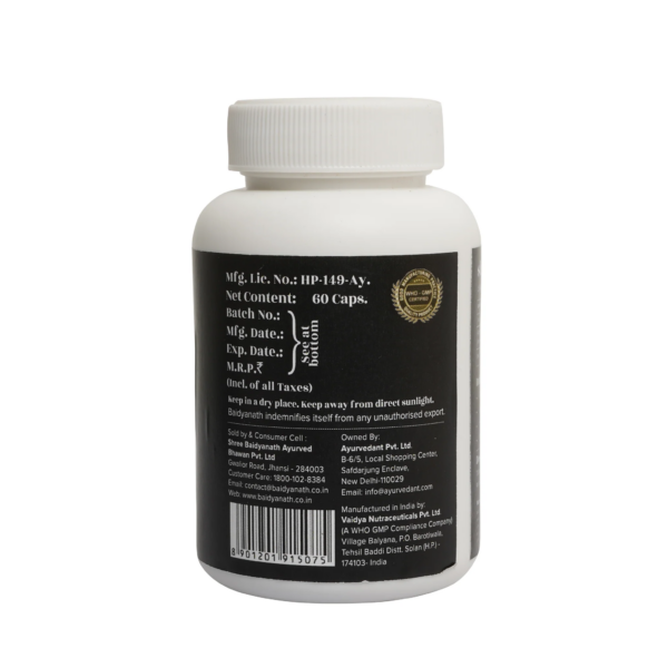 Shilajit Capsule - Image 3